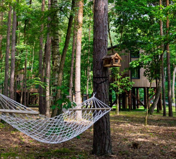 TreeHouses Olszanka