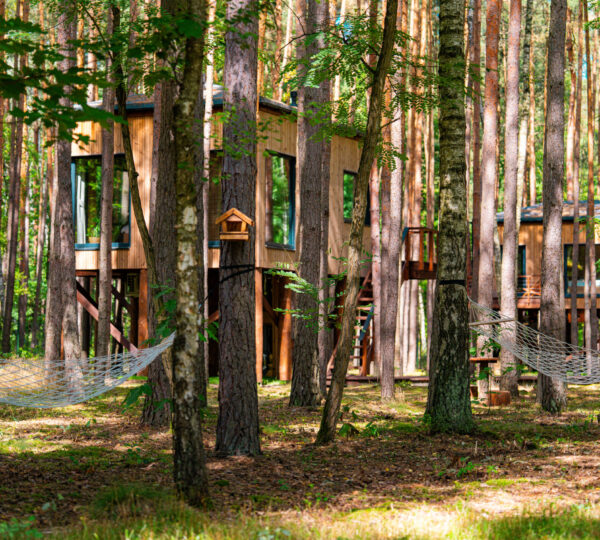 TreeHouses Olszanka