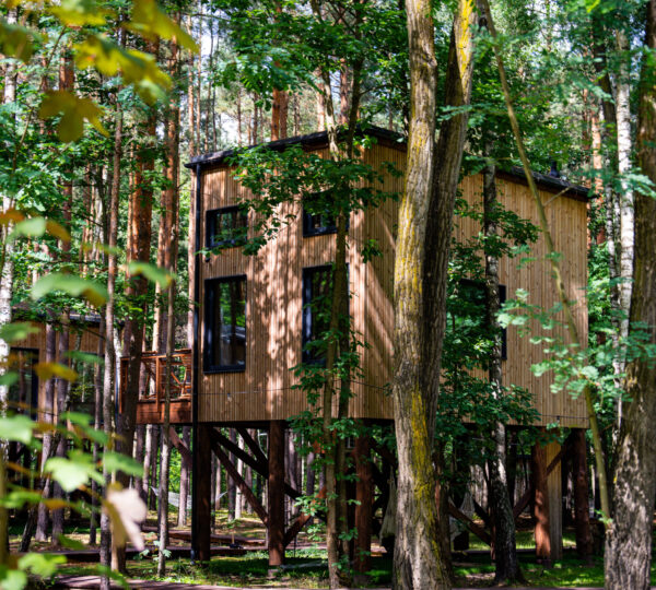 TreeHouses Olszanka