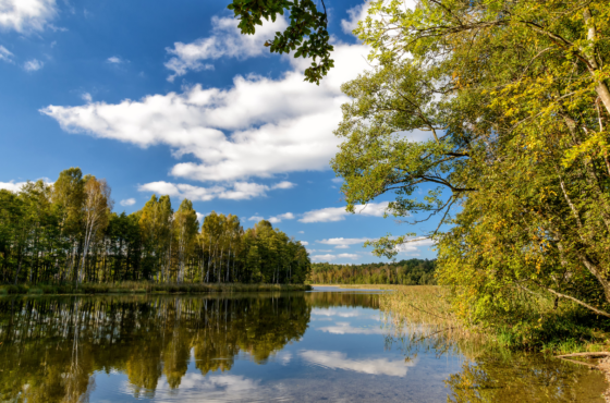 Co zobaczyliśmy na Mazurach? Cud Natury!